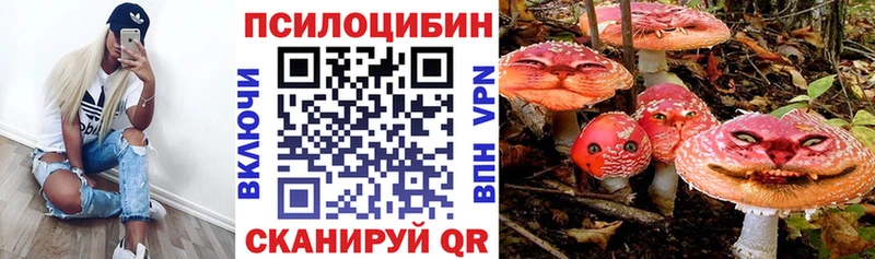 Псилоцибиновые грибы MAGIC MUSHROOMS  Купить  Елизово 