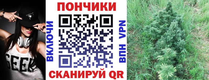Бошки марихуана Ganja  Купить закладки  Елизово 